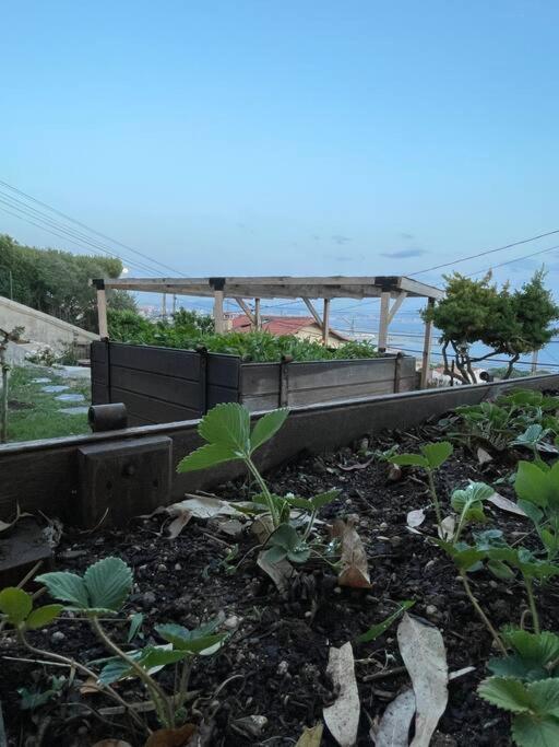 Superbe Terrasse Avec Vue Panoramique Sur La Mer مارسيليا المظهر الخارجي الصورة