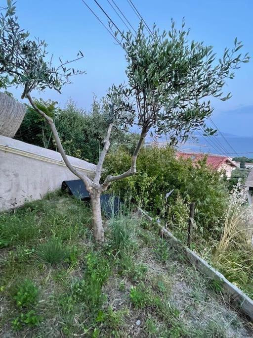 Superbe Terrasse Avec Vue Panoramique Sur La Mer مارسيليا المظهر الخارجي الصورة